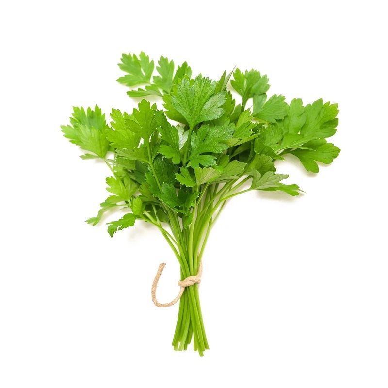Coriander Bunch