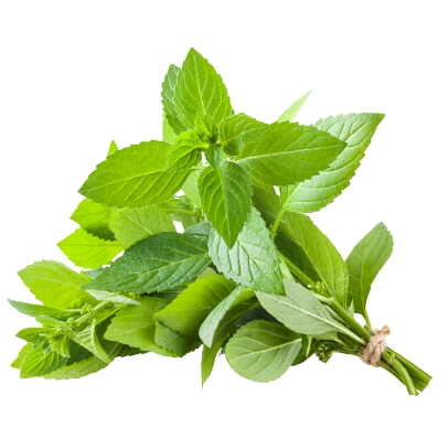 Mint Bunch
