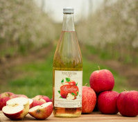 Picnic Point Sparkling Apple Juice 750ml