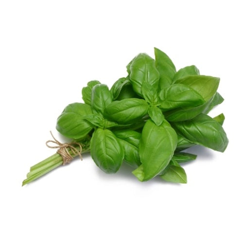 Basil Bunch