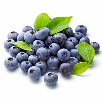 Blueberry Punnet 300g