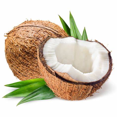 Coconut Per Each