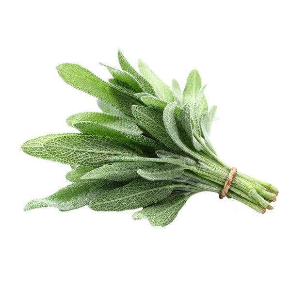 Sage Bunch