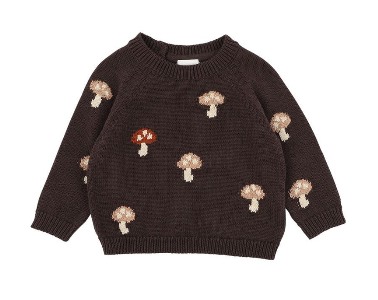 Toby Mushroom Knitted Jumper 00