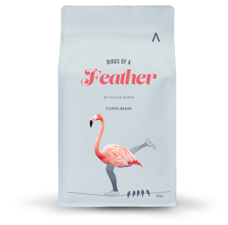 Evolve North Birds of a Feather Coffee Beans 500g