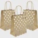 Brown Kraft and Silver Foil Dot Paper Gift Bag 22cm