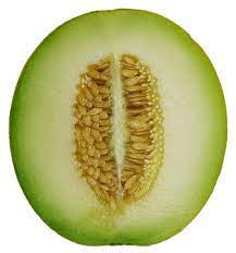 Honeydew Melon Half