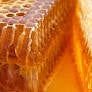 Hillside Honey Honeycomb 170g